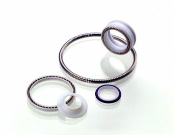 PTFE のシール、ばねはテフロン シール、テフロン回転式シール、PTFE の静的なシールを活気づけました